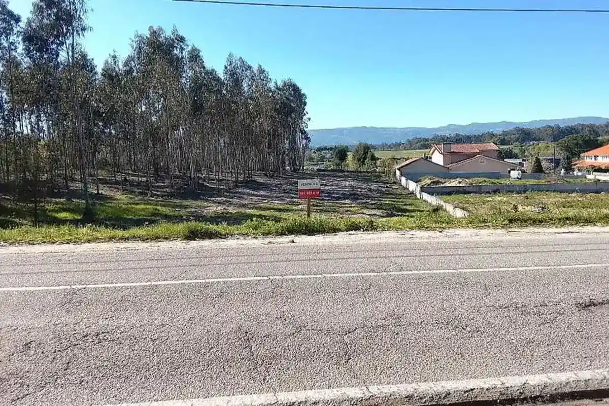 Fotografia do Terreno 1: frente para a EN2 em Tondela, com viabilidade de construção (imagem 1 de 12)