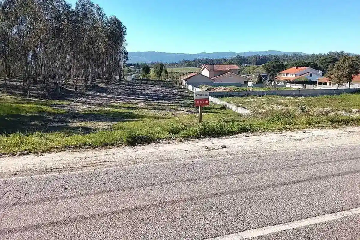 Fotografia do Terreno 1 em Tondela, com frente para a Estrada Nacional 2