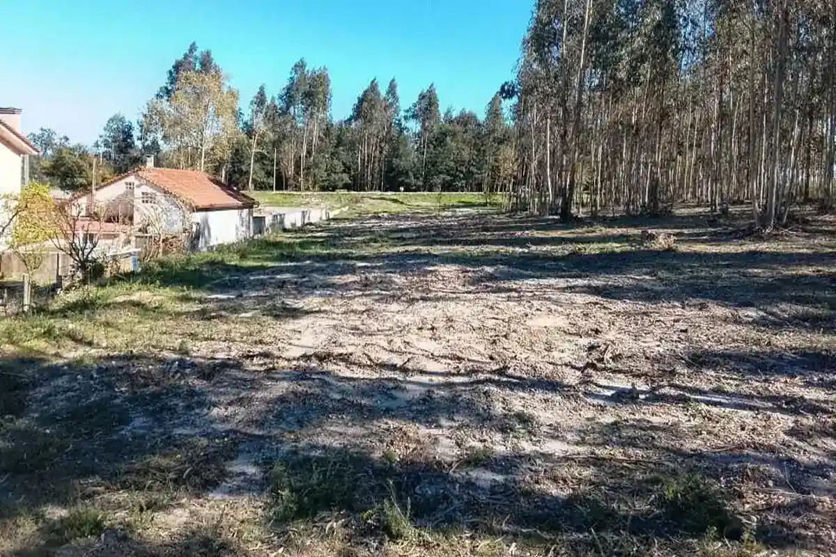 Fotografia do Terreno 1: terreno de 2.000 m² entre a N2 e Viseu, em Tondela (imagem 9 de 12)