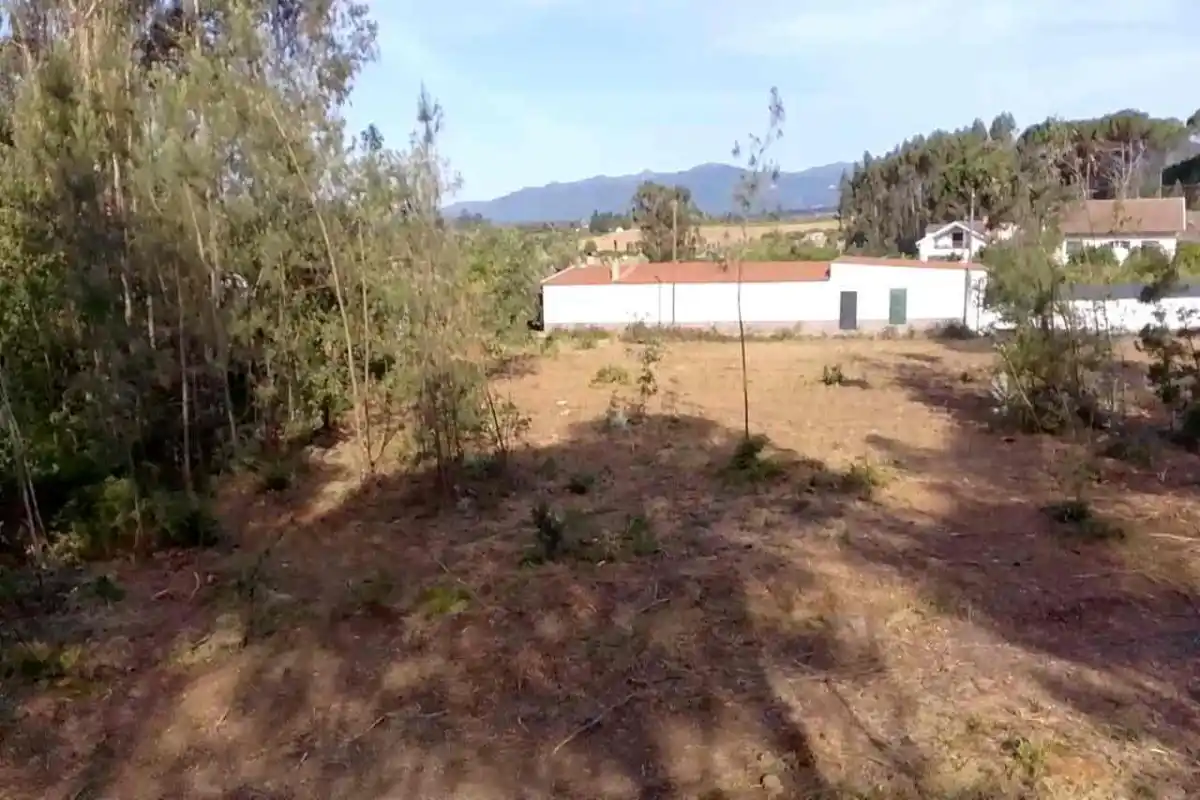 Fotografia do Terreno 2: terreno para habitação e comércio em Tondela (imagem 1 de 12)