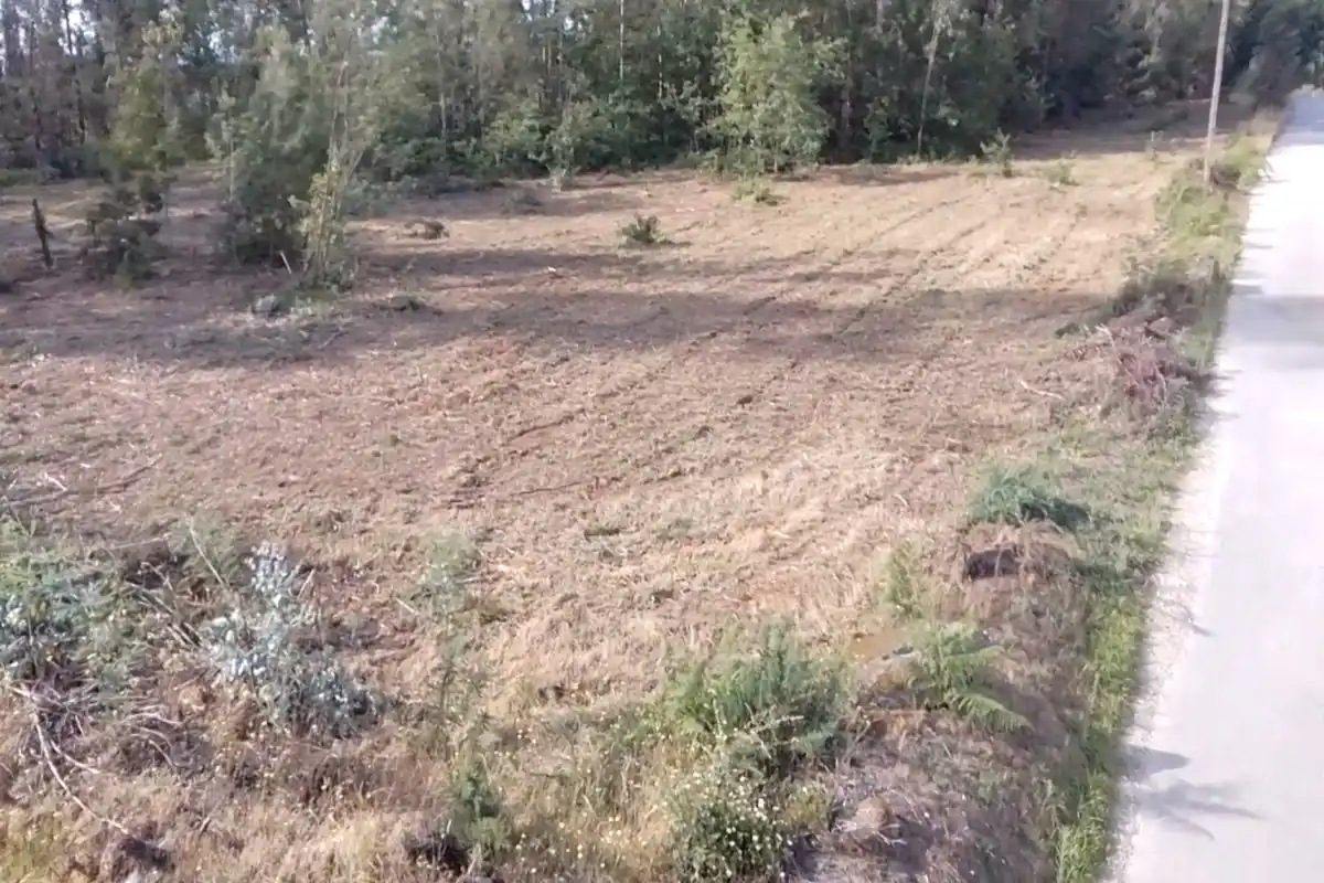Fotografia do Terreno 2: terreno entre Viseu e Tondela (imagem 9 de 12)
